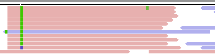 ../_images/Strand_bias.png