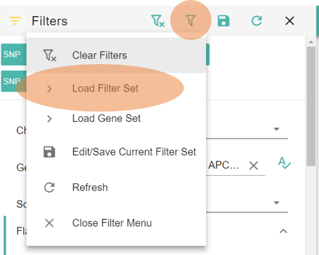 _images/advanced_filtering_load_filter_set.png